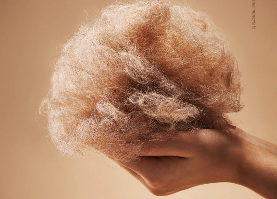 alpaca wool
