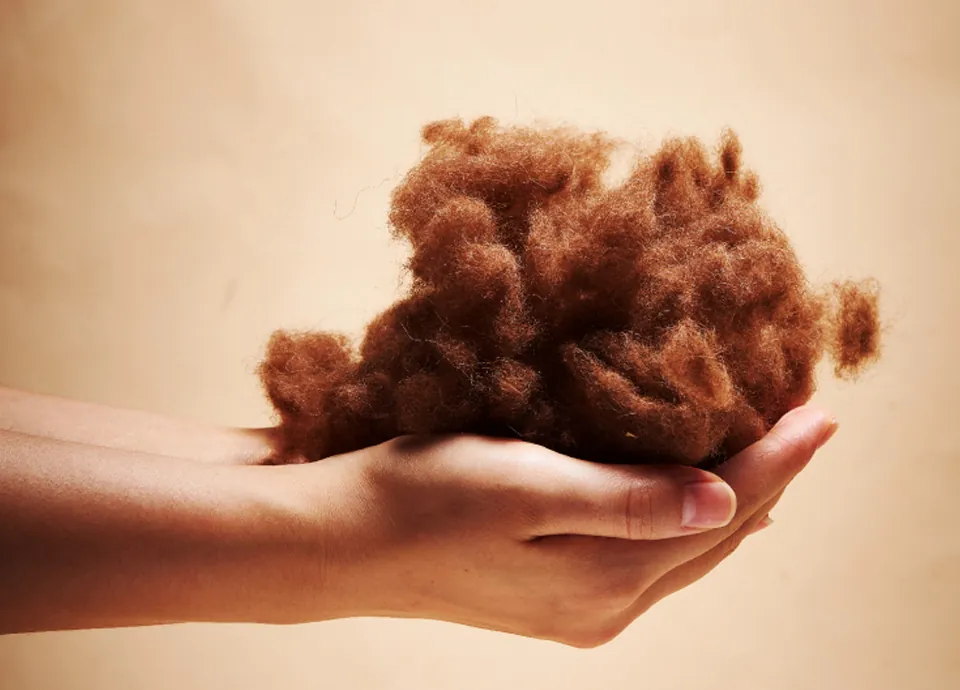 camel hair